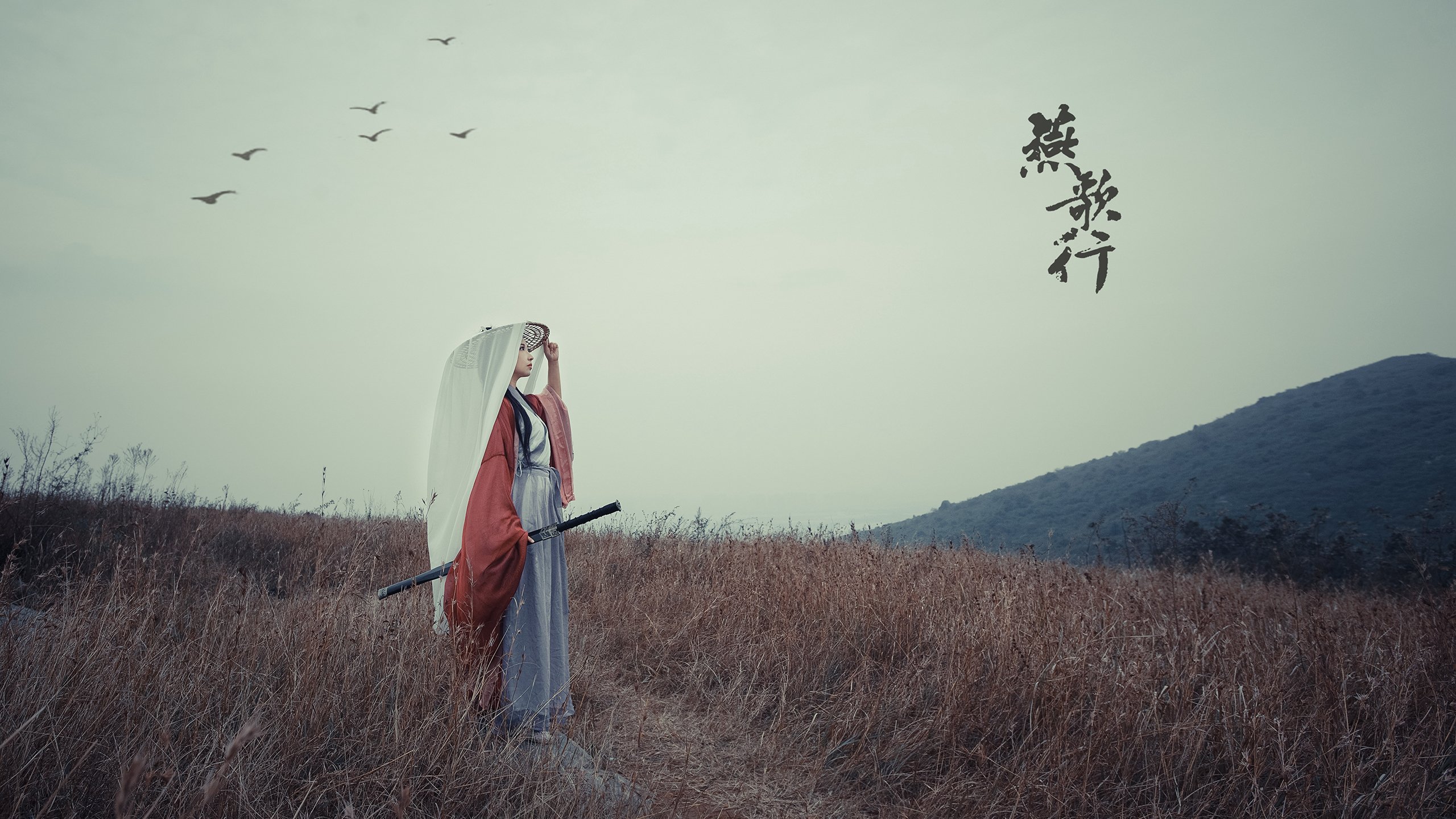 唯一之冠,澳网轻取法网的传奇对决,穆雷关键制胜铸就历史