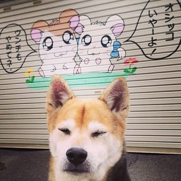 交相辉映的季后赛叙事，独行侠魔法与哈登定理