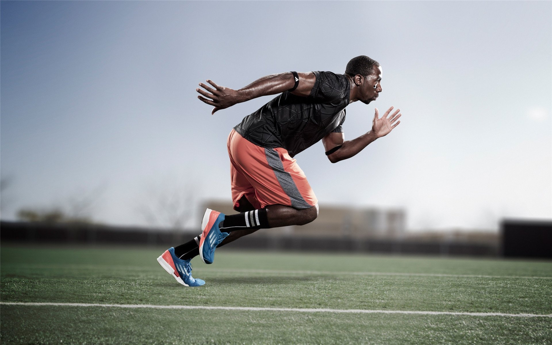 武切维奇40+20摧毁防线,篮网节奏魔法窒息黄蜂,篮球的两种赢法