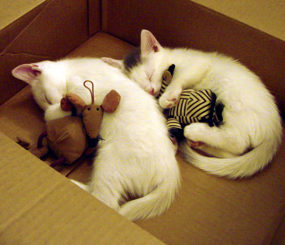 巴黎硝烟散尽,一记绝杀如何让法国足球踏平曼城王朝