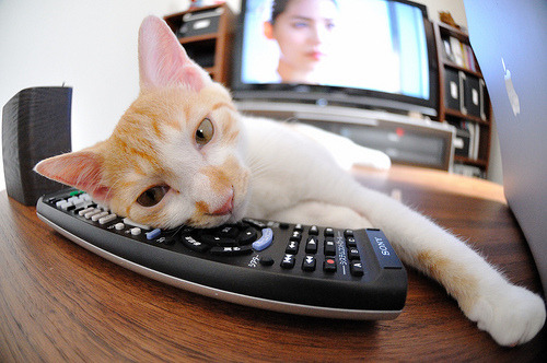 高压锅中的众神,当窒息感成为跨越体育项目的共同语言