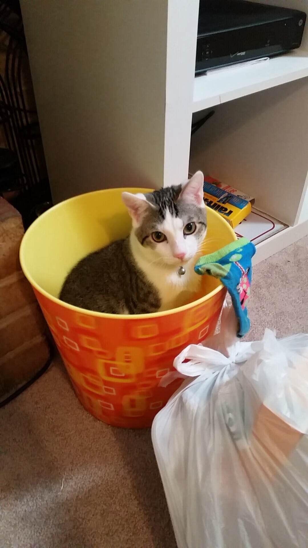 独行侠的华丽交响乐与湖人的铁血防御战，东契奇的节奏魔法VS洛城的封锁艺术