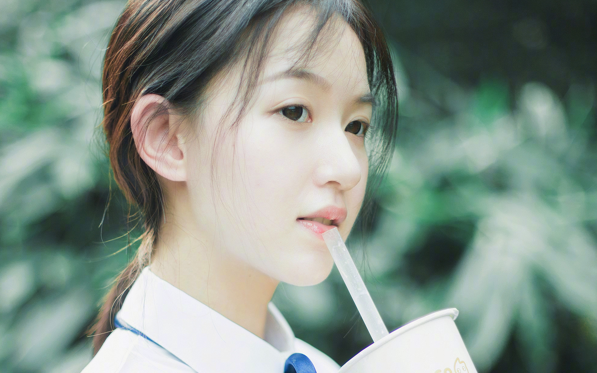 当北岸花园陷入沉寂,字母哥如何撕碎凯尔特人的不败金身