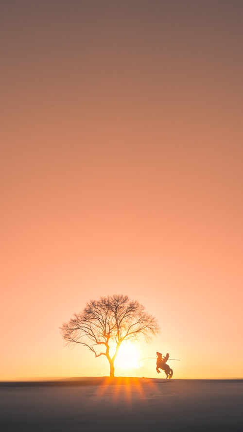 当北岸花园陷入沉寂,字母哥如何撕碎凯尔特人的不败金身