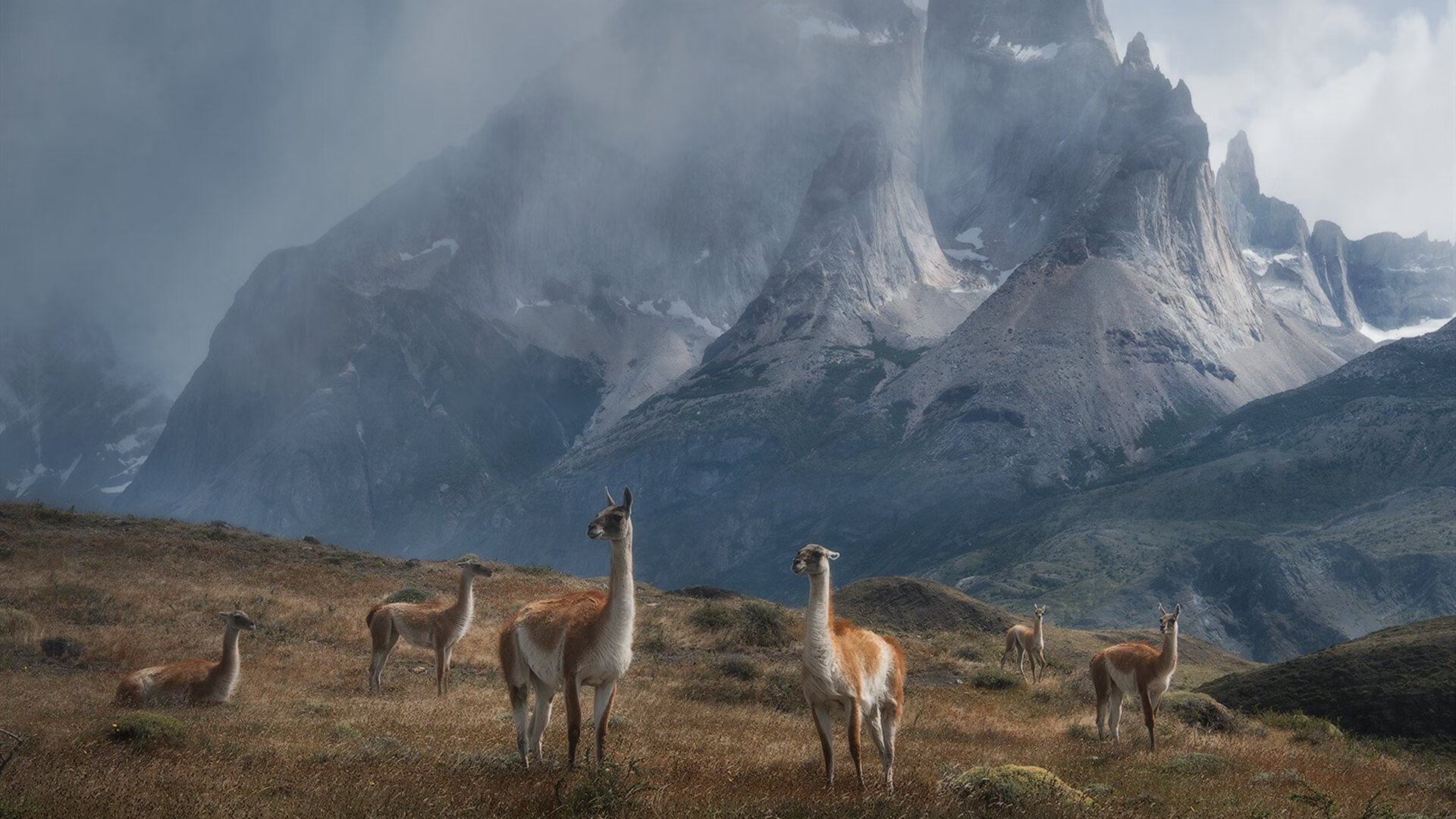 喧嚣迷宫，静的极点