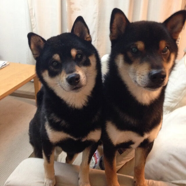 皮克的一脚外交球，当退役球星用游戏打穿两国僵局