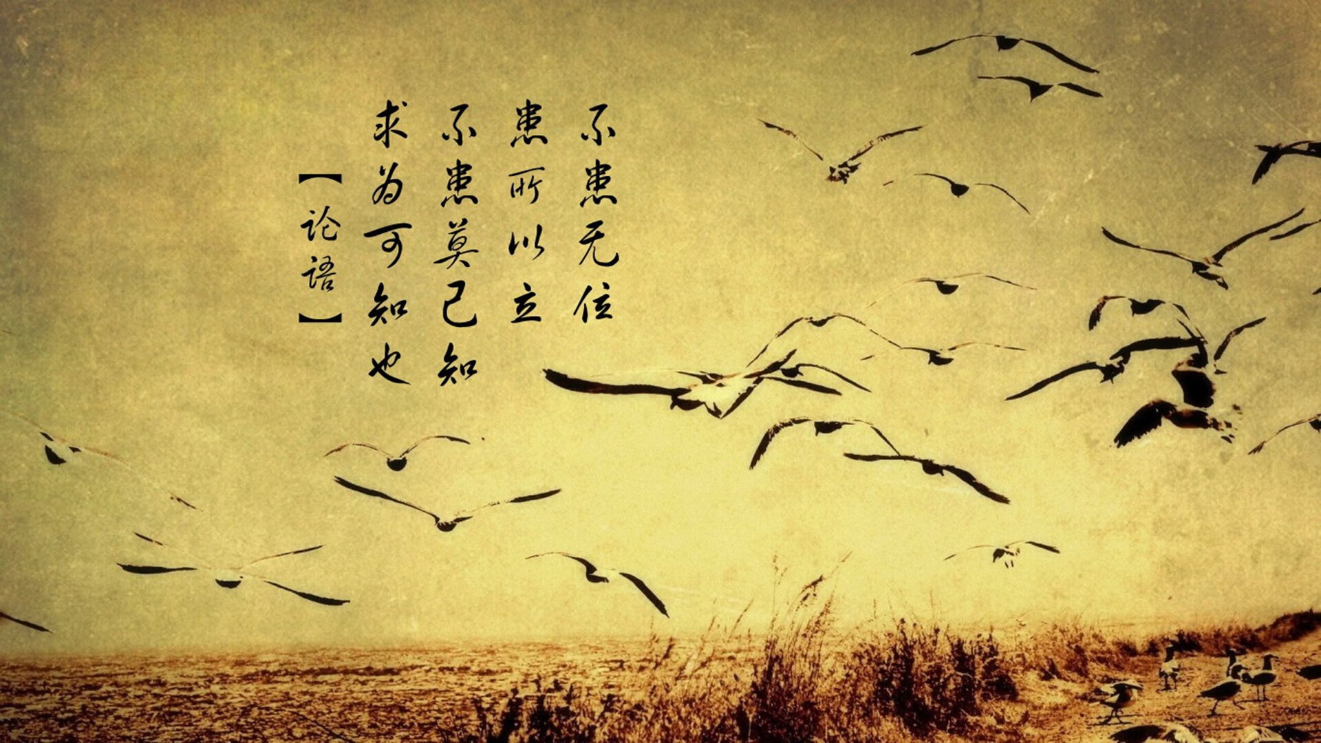 唯一性,那个载入史册的欧冠半决赛,C罗的王权之证