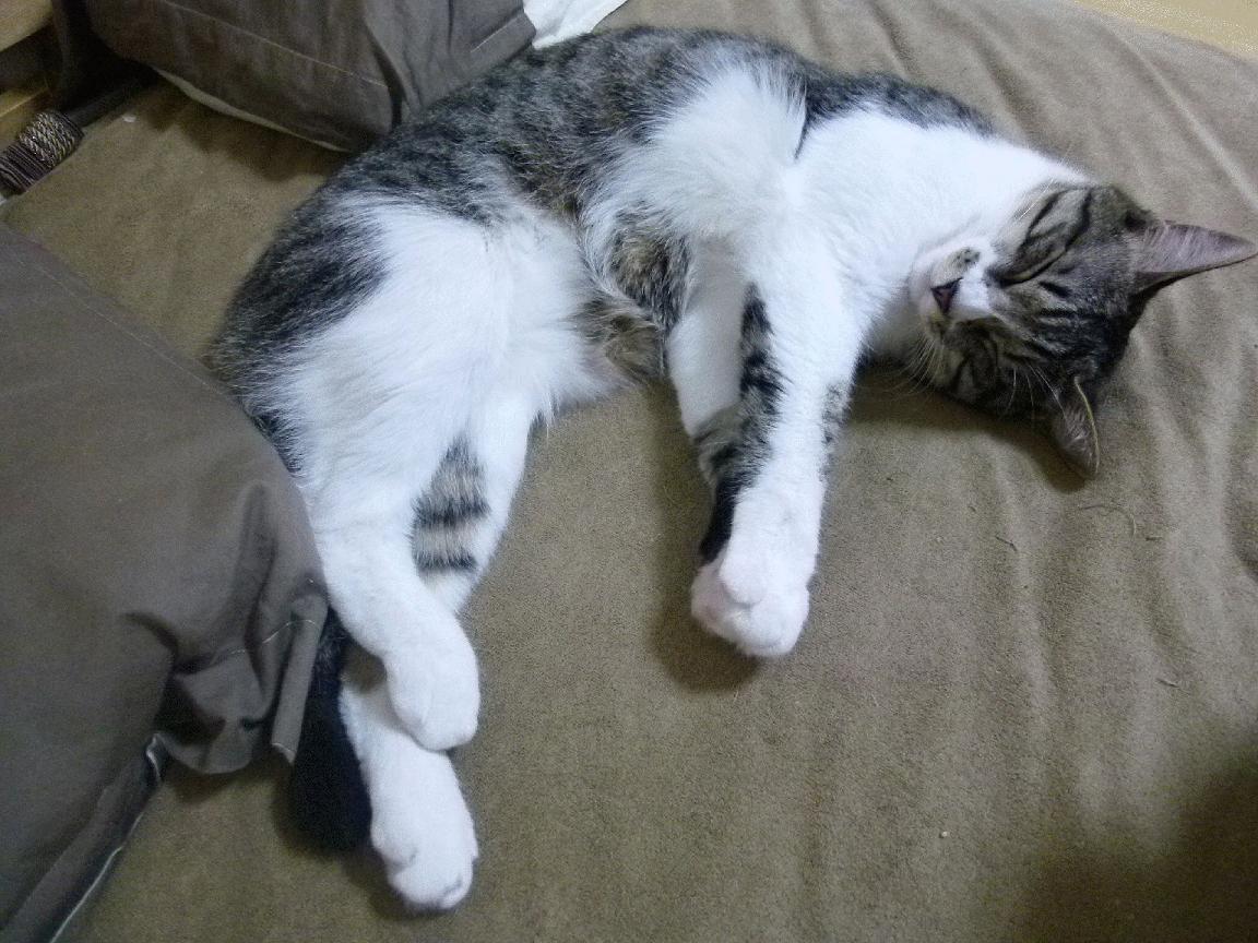 窒息对决，从伊蒂哈德到甲骨文，战术绞杀如何成就瞬间永恒