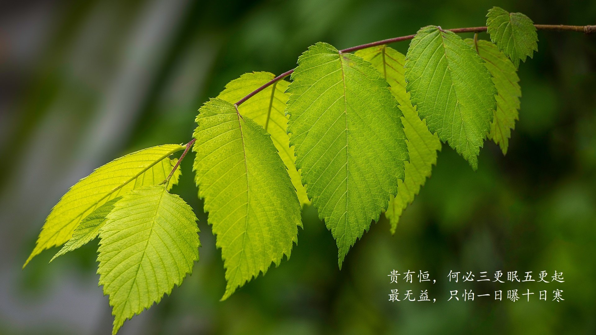 柏林之夜,当亚洲铁骑踏破日耳曼战车,梅西以王冠之火照亮2026