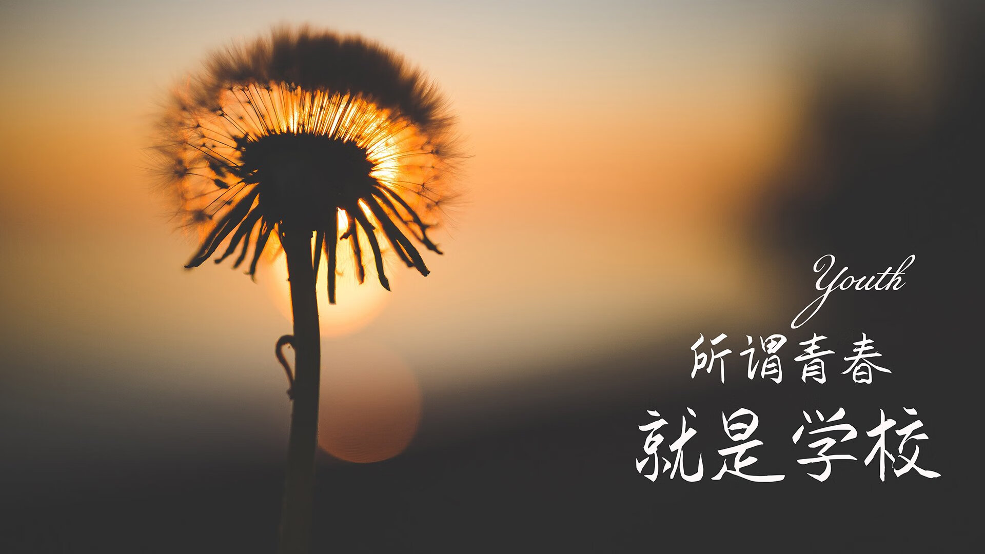 宿命之战的唯一解,当苏亚雷斯在2026世界杯D组撕开葡萄牙的防线